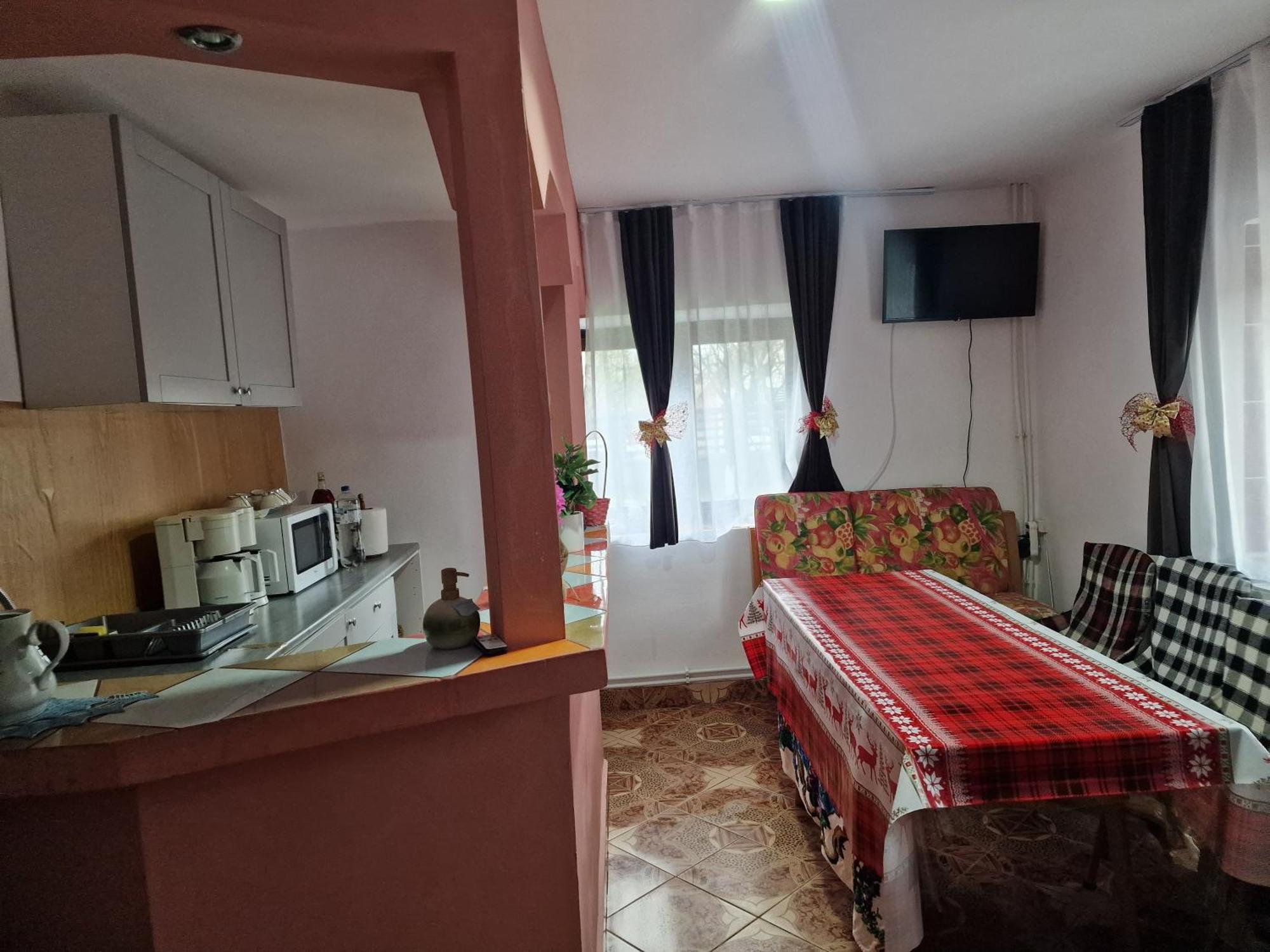 Casa Roxana Villa Viseu de Mijloc Екстериор снимка