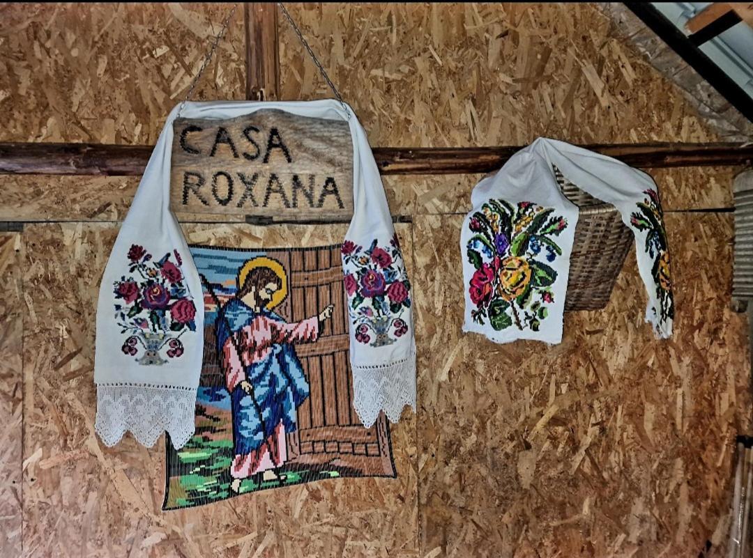 Casa Roxana Villa Viseu de Mijloc Екстериор снимка